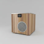 Wood/Stainless Steel Plunge Pool With Integrated Chiller/Heater